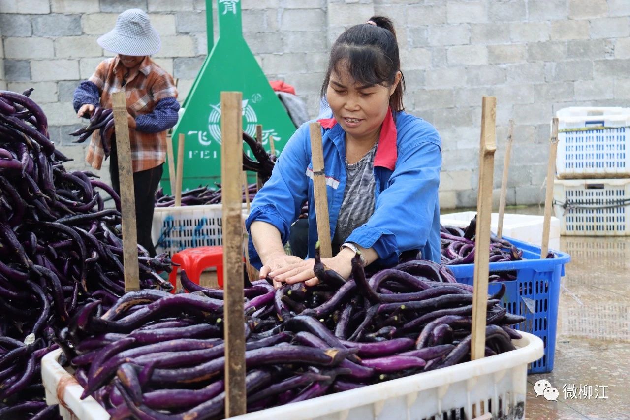 黄金城新网站昆报传媒 - 昆明信息港